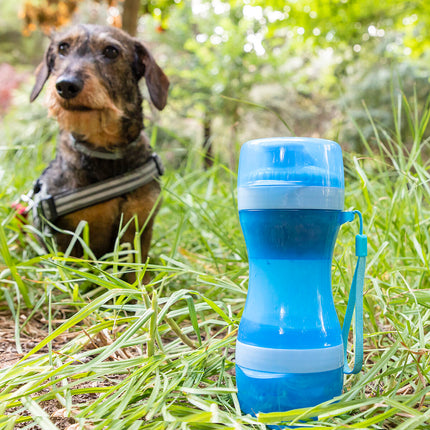 Två i en-flaska med vatten och matbehållare för husdjur Pettap InnovaGoods